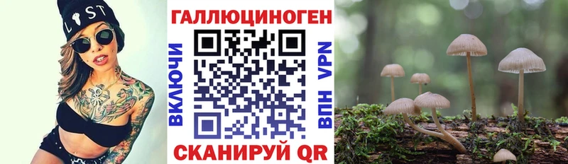 Галлюциногенные грибы GOLDEN TEACHER  цены наркотик  Керчь 